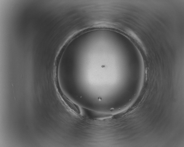 X0000073851376200608241031