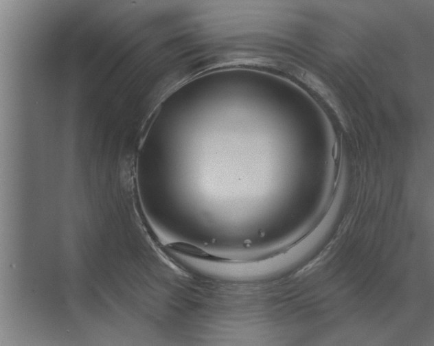 X0000073851377200608241031