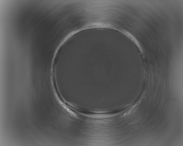 X0000073851381200608241031