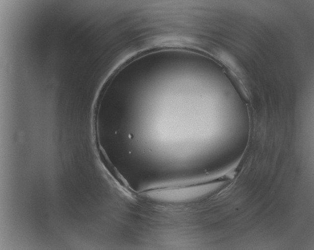 X0000073851384200608241031