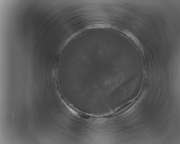 X0000073851385200608241031