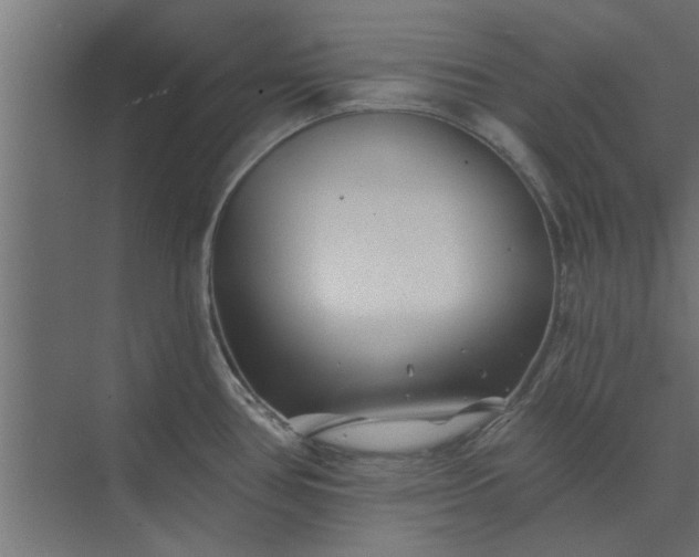 X0000073851386200608241031