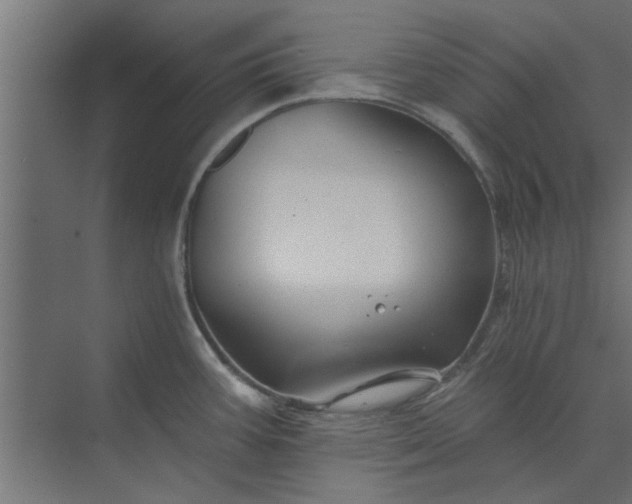 X0000073851387200608241031