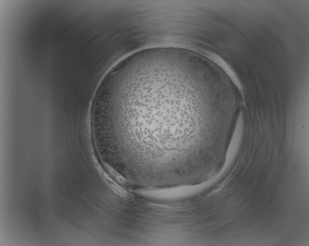 X0000073851388200608241031