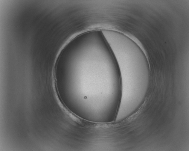 X0000073851389200608241031