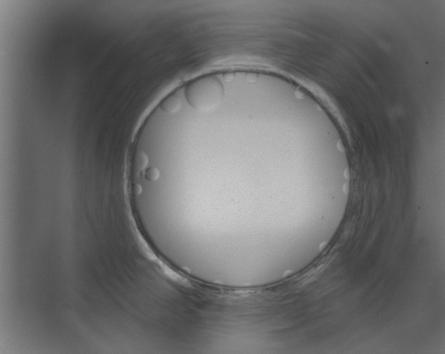 X0000073851390200608241031