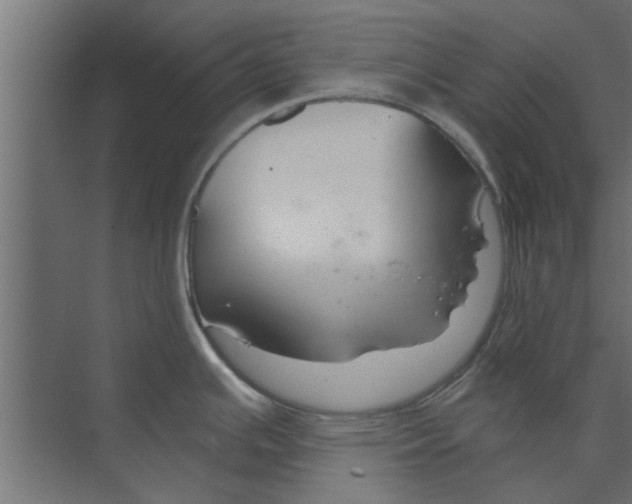 X0000073851391200608241031