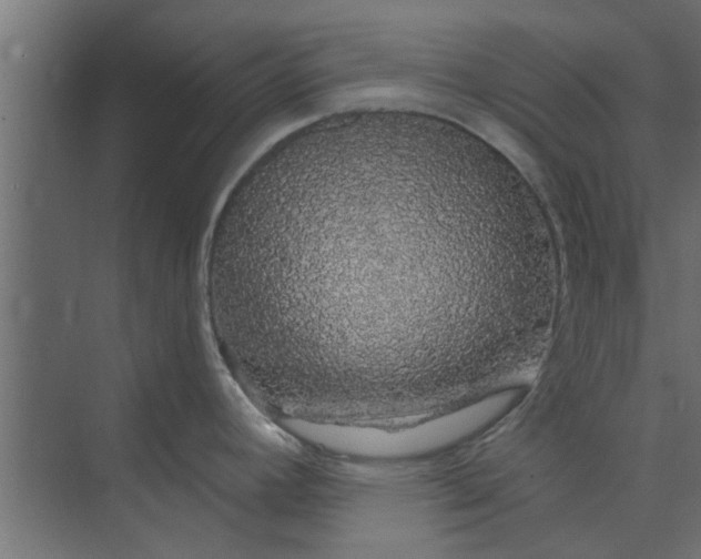 X0000073851392200608241031