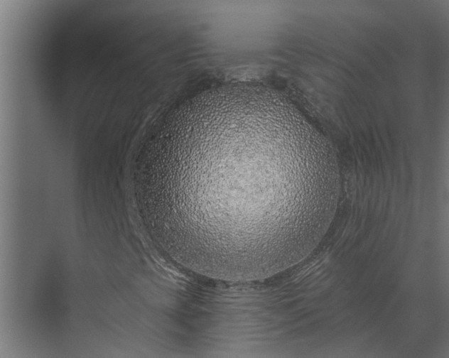 X0000073851393200608241030