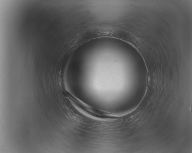 X0000073851394200608241030