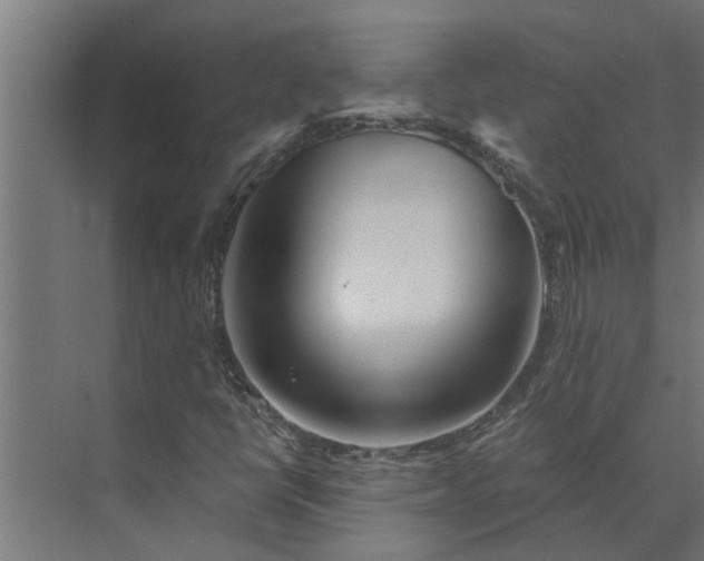 X0000073851398200608241030