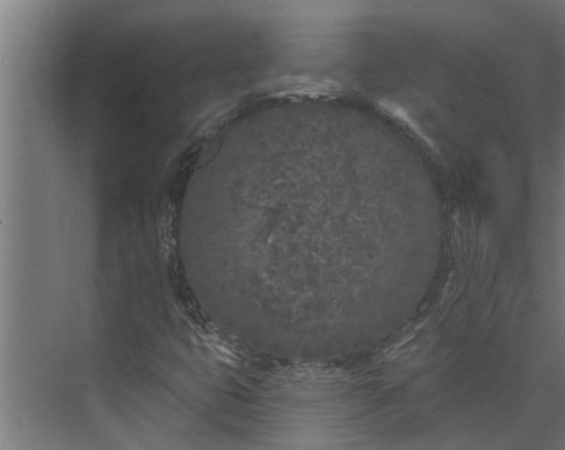 X0000073851399200608241030