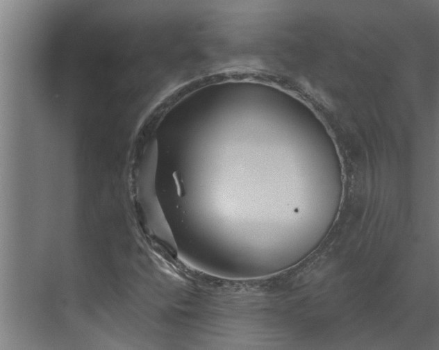 X0000073851400200608241030