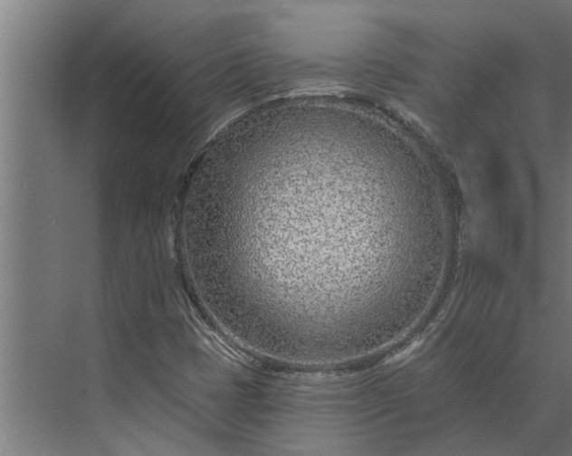 X0000073851401200608241031