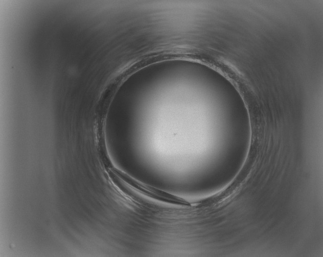 X0000073851402200608241031