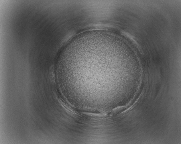 X0000073851403200608241031