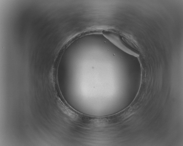 X0000073851404200608241031