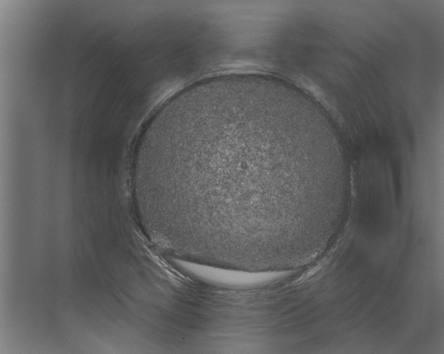 X0000073851405200608241031