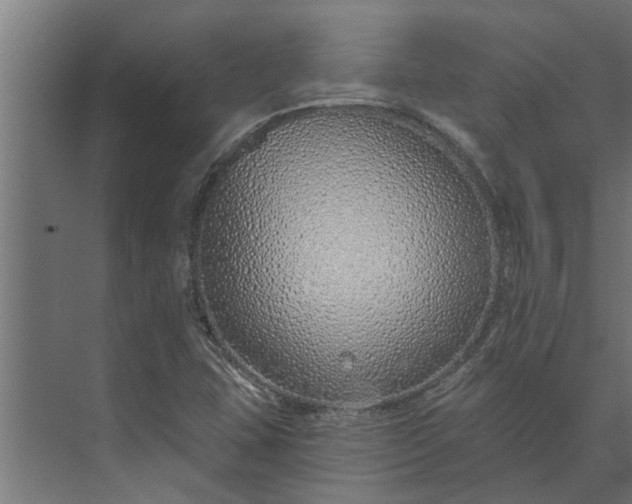 X0000073851407200608241031