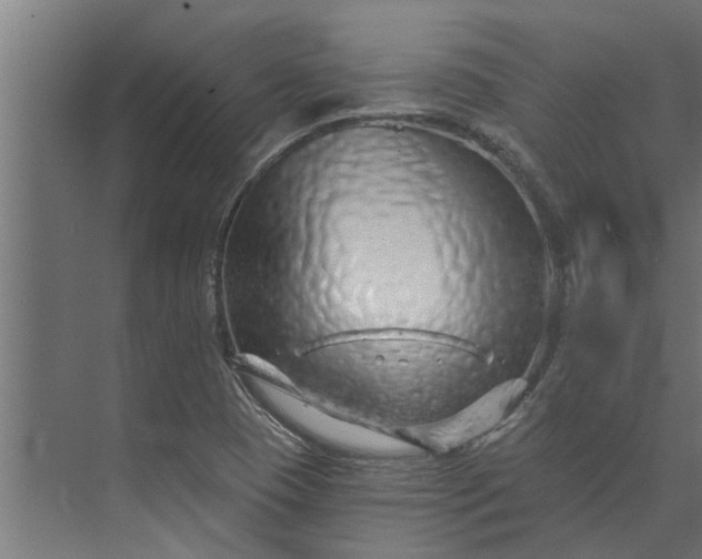 X0000073851409200608241031