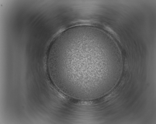 X0000073851411200608241031