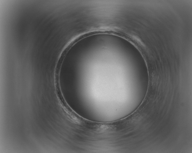 X0000073851412200608241031