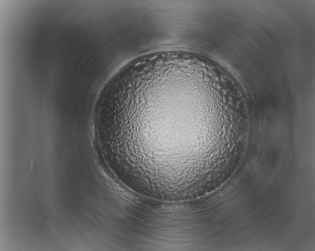 X0000073851415200608241031