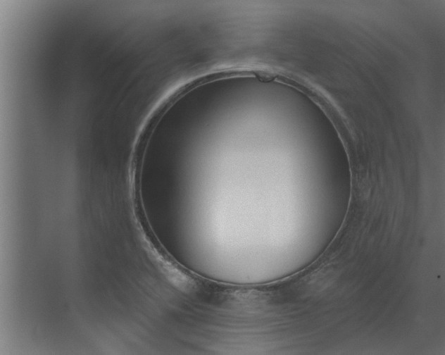 X0000073851416200608241031