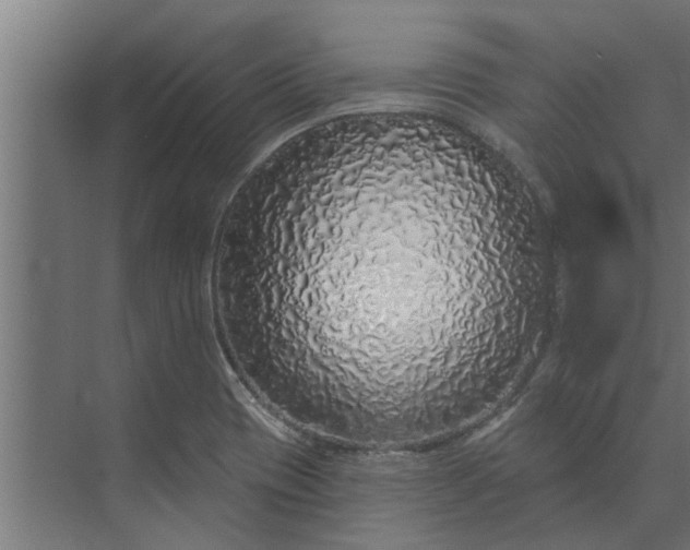 X0000073851417200608241031