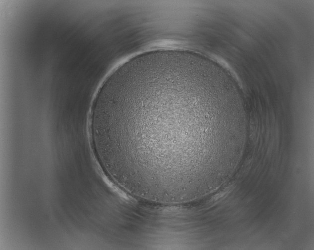 X0000073851421200608241031