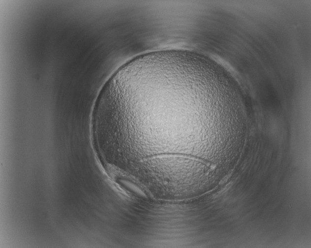 X0000073851423200608241031