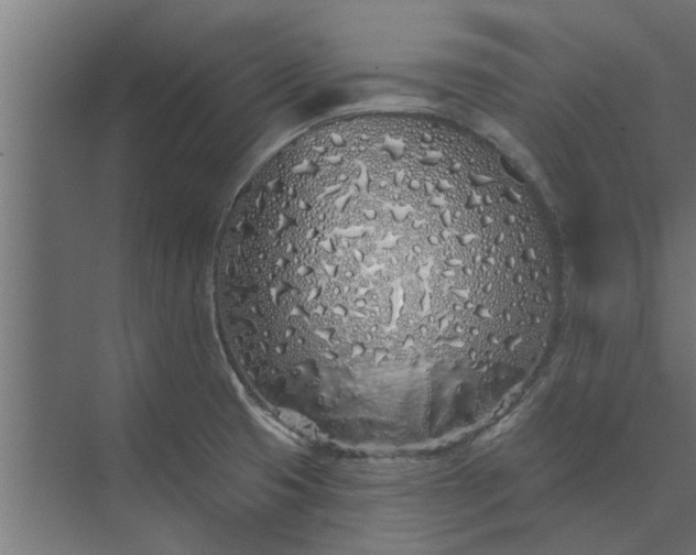 X0000073851425200608241031