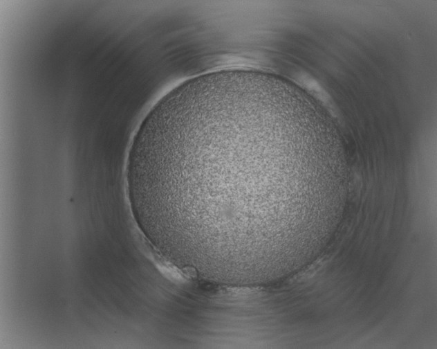 X0000073851427200608241031