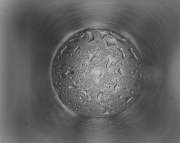 X0000073851429200608241031