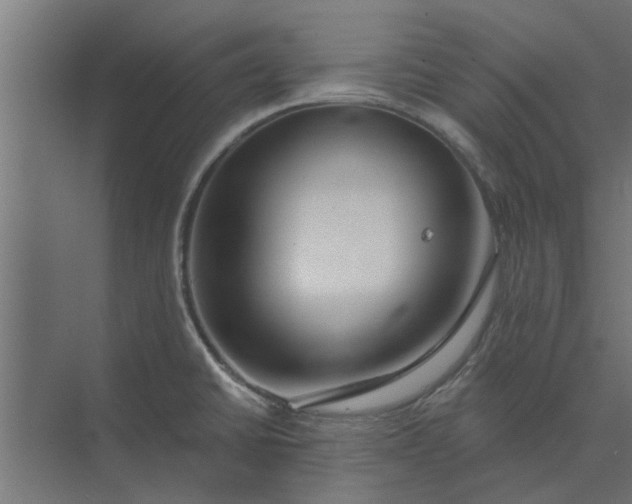 X0000073851430200608241031