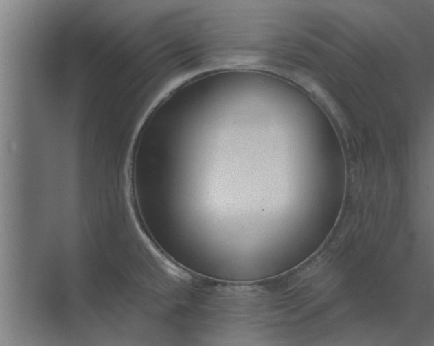 X0000073851432200608241031