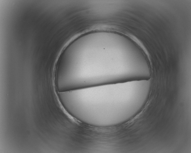 X0000073851437200608241031