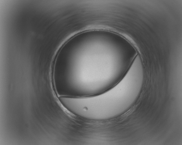 X0000073851438200608241031