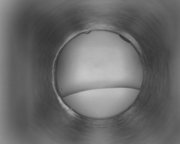 X0000073851439200608241031