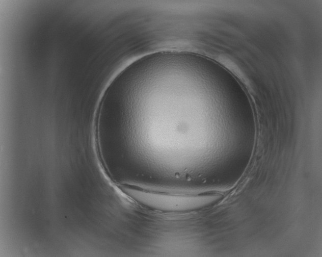 X0000073851440200608241031