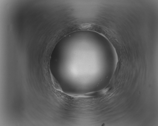 X0000073851441200608241030