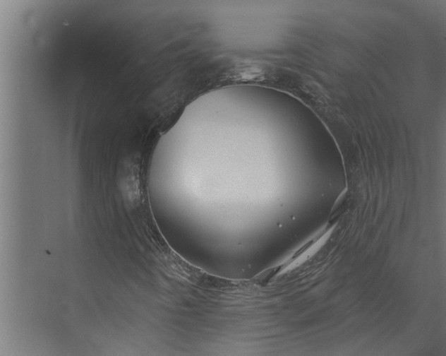 X0000073851442200608241030