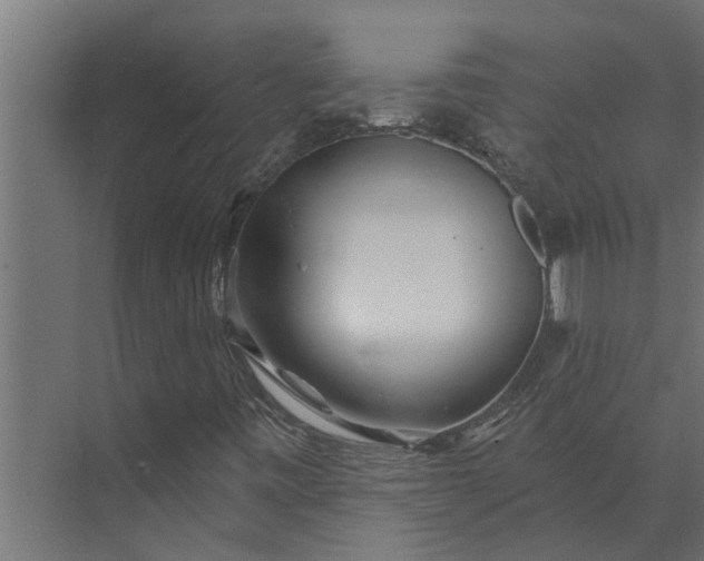 X0000073851443200608241030