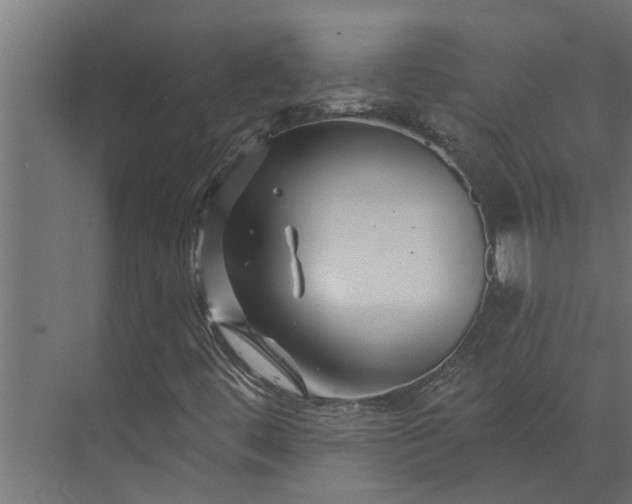 X0000073851444200608241030