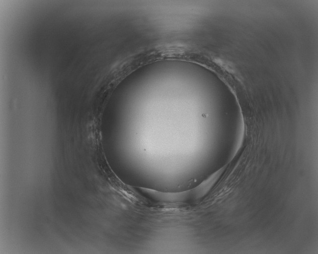 X0000073851445200608241030