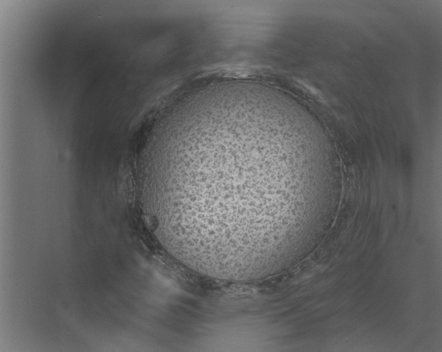 X0000073851446200608241030