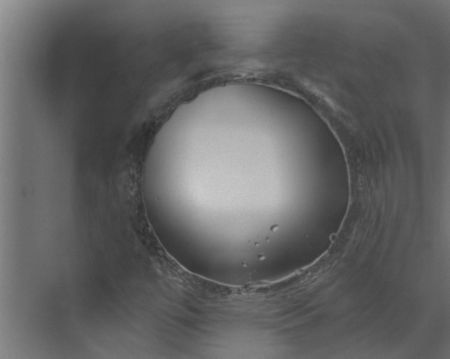 X0000073851447200608241030