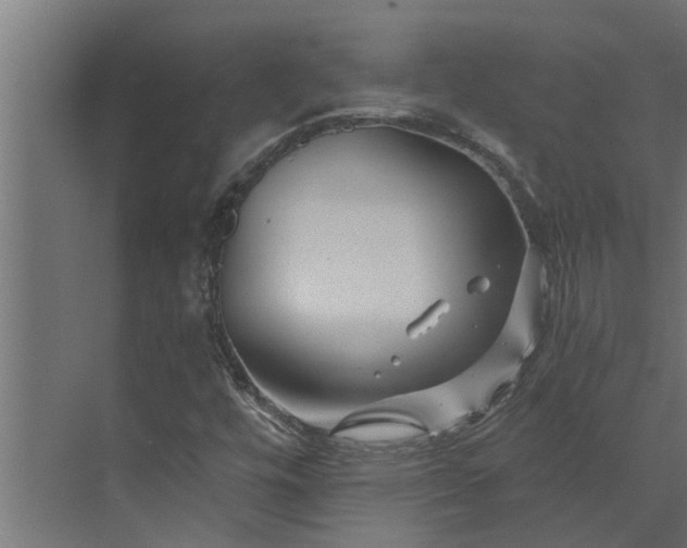 X0000073851448200608241030