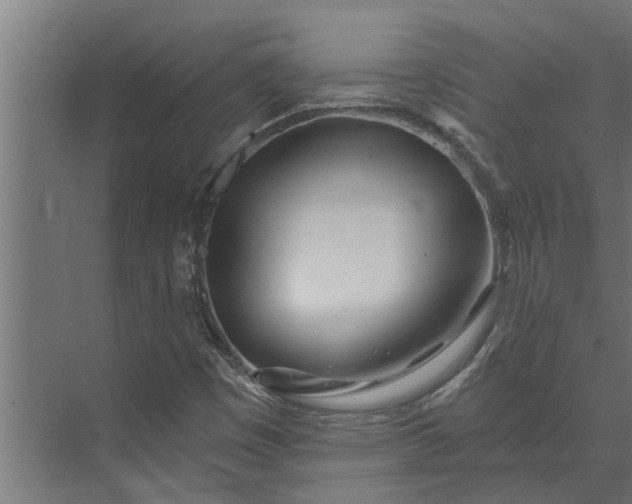 X0000073851449200608241030