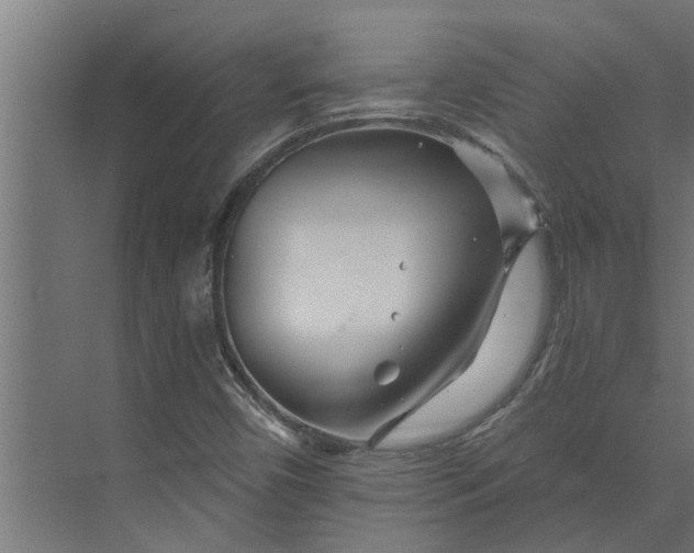 X0000073851450200608241030